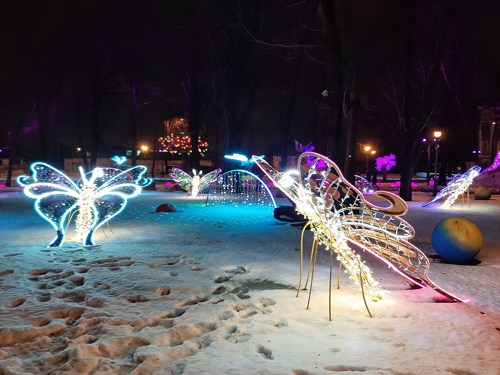 Fantasy Park photo 10
