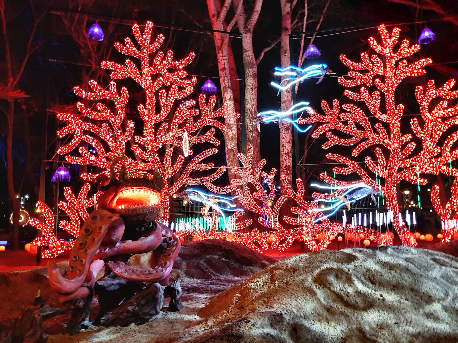 Fantasy Park photo 9
