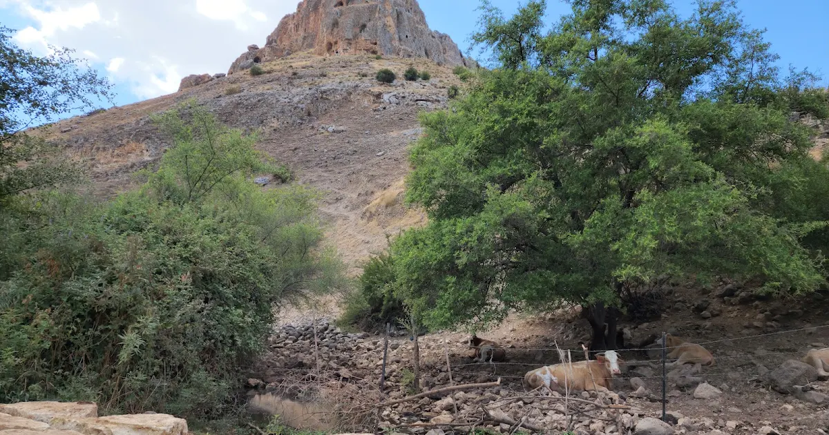 Mount Harbel Trail photo 1