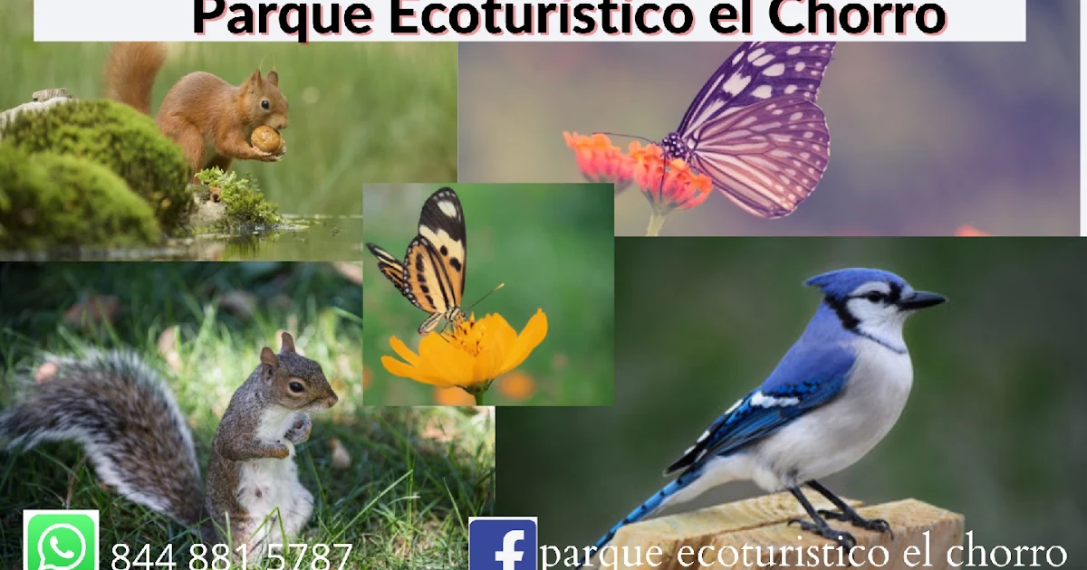 Parque Ecoturistico El Chorro photo 1