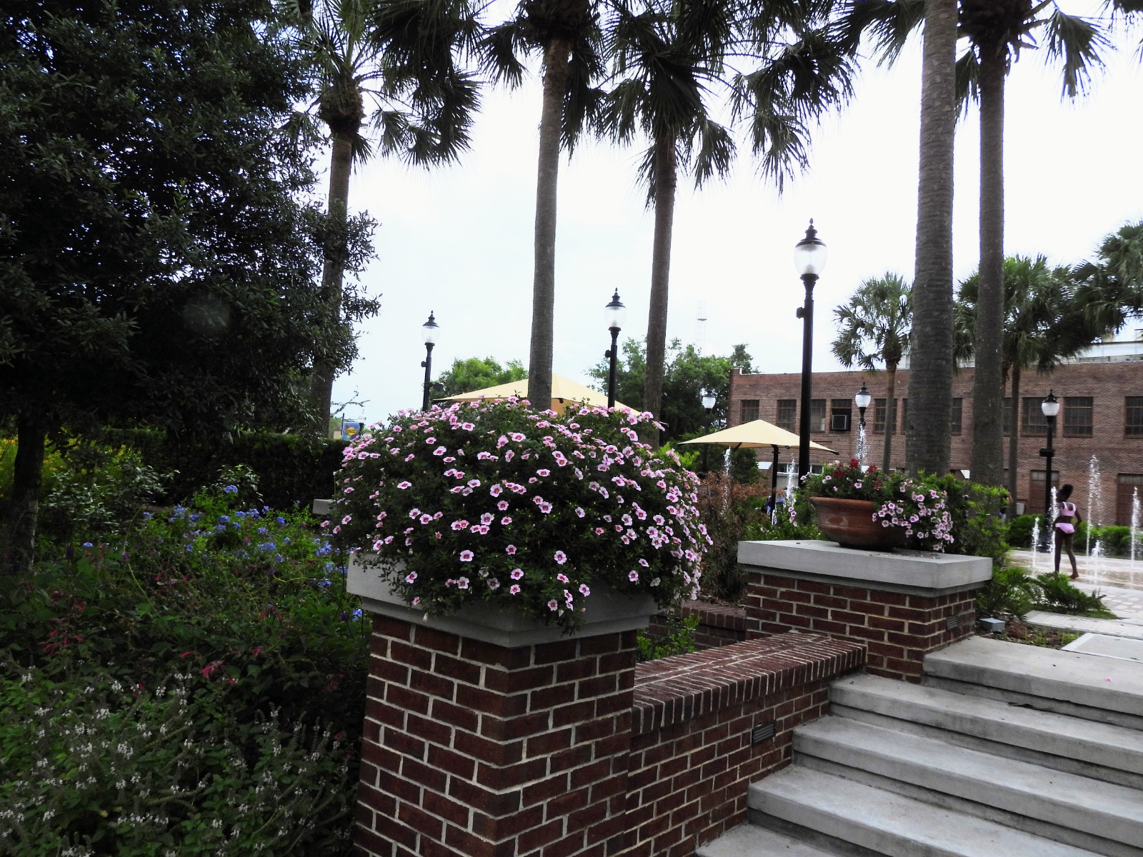 Winter Garden photo 2