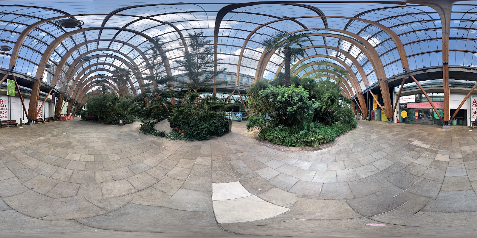 Winter Garden photo 3