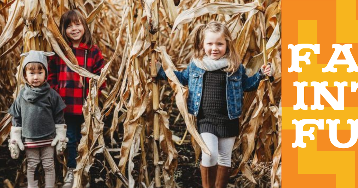 Happy Hollow Corn Maze photo 1