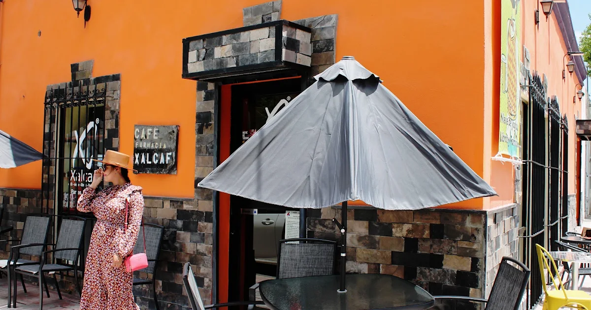 XALCAF CAFÉ photo 1