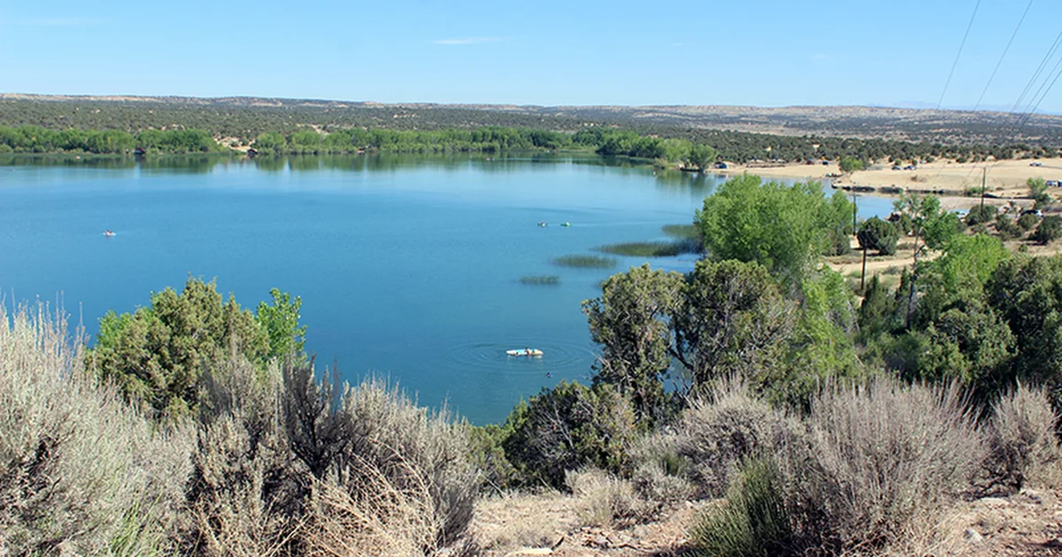Lake Farmington photo 1