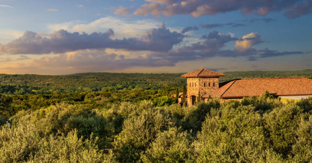 Texas Hill Country Olive Co. photo 1
