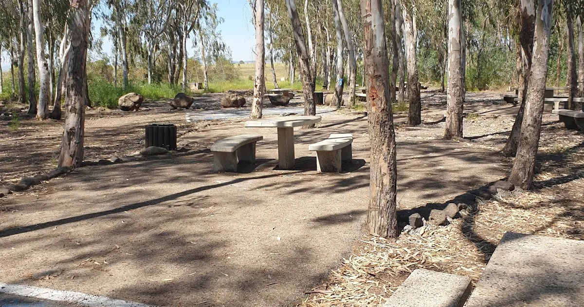חניון דליות photo 1
