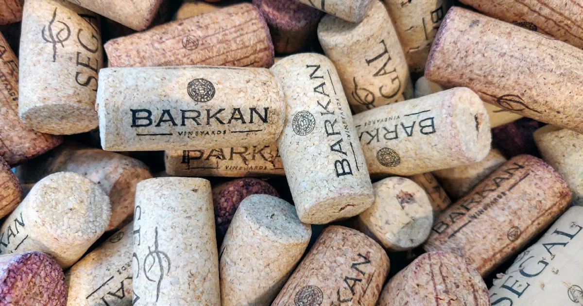 Barkan Winery photo 1
