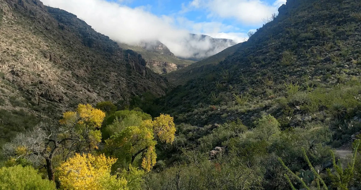 Oliver Lee Memorial State Park photo 1