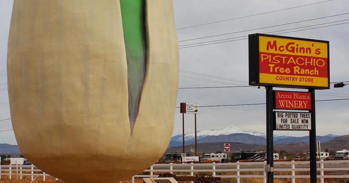 PistachioLand - Farm Tours & Country Store photo 1