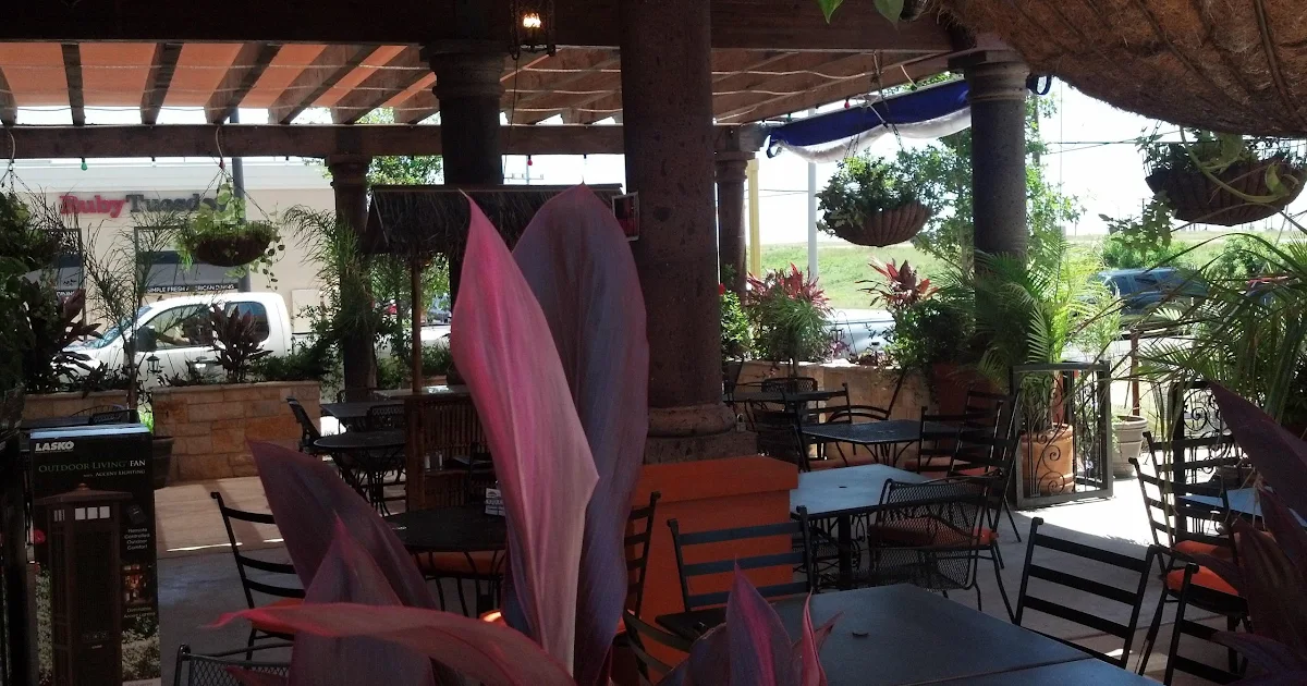 Las Palapas Alamo Ranch photo 1