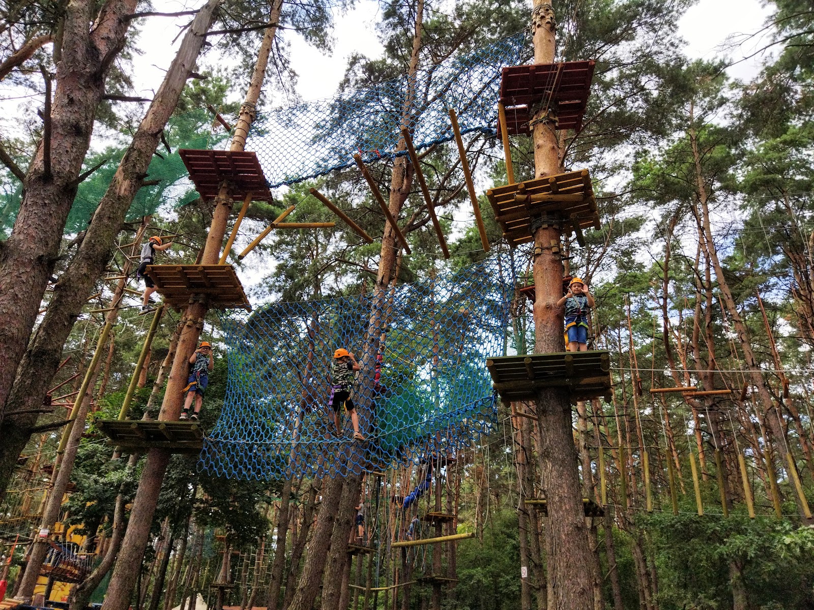 Джунглі парк photo 6