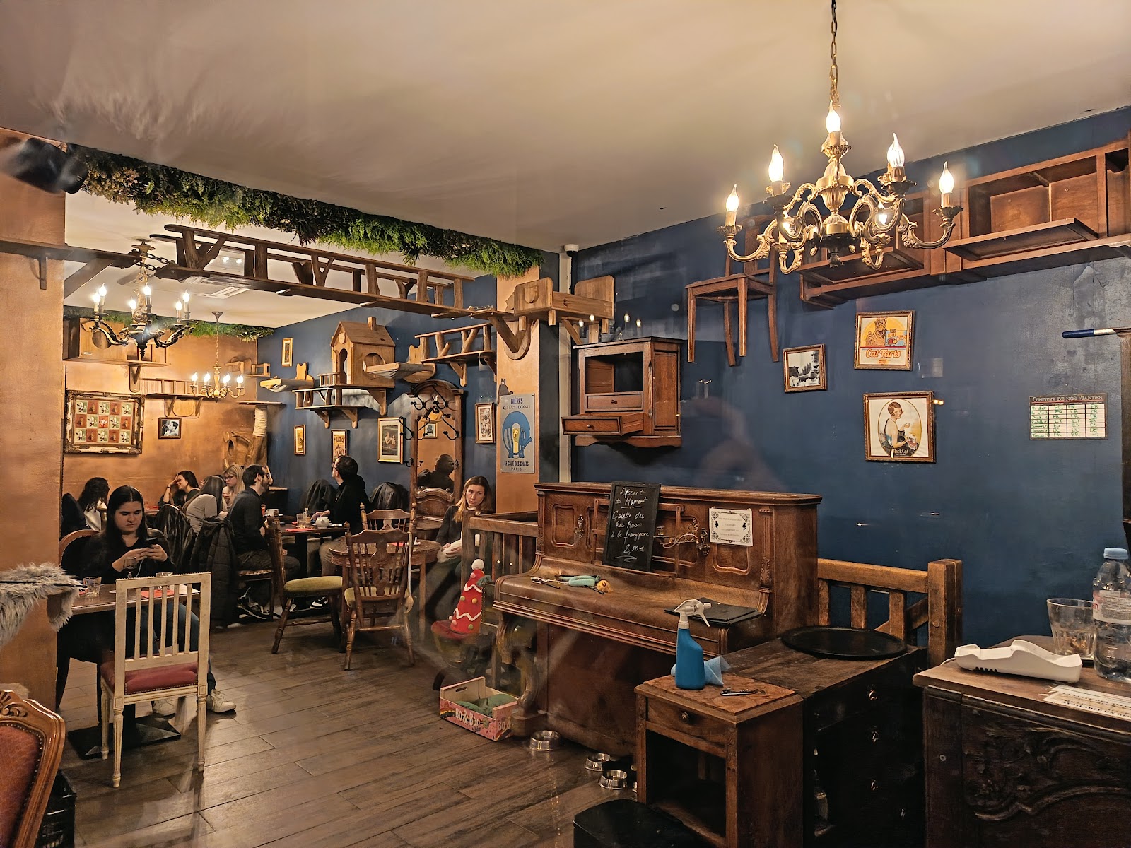 Le Café des Chats photo 9