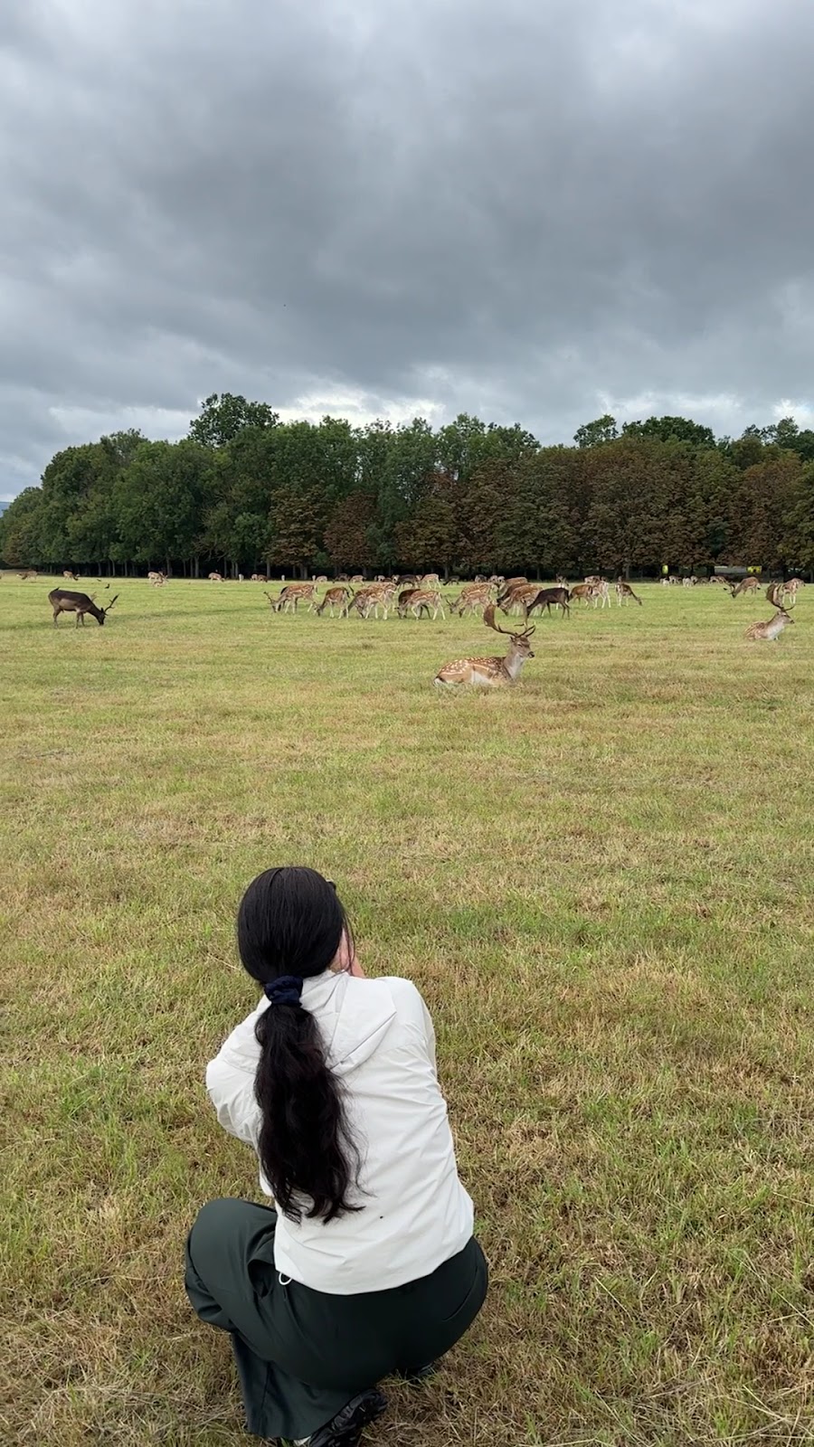 Phoenix Park photo 3