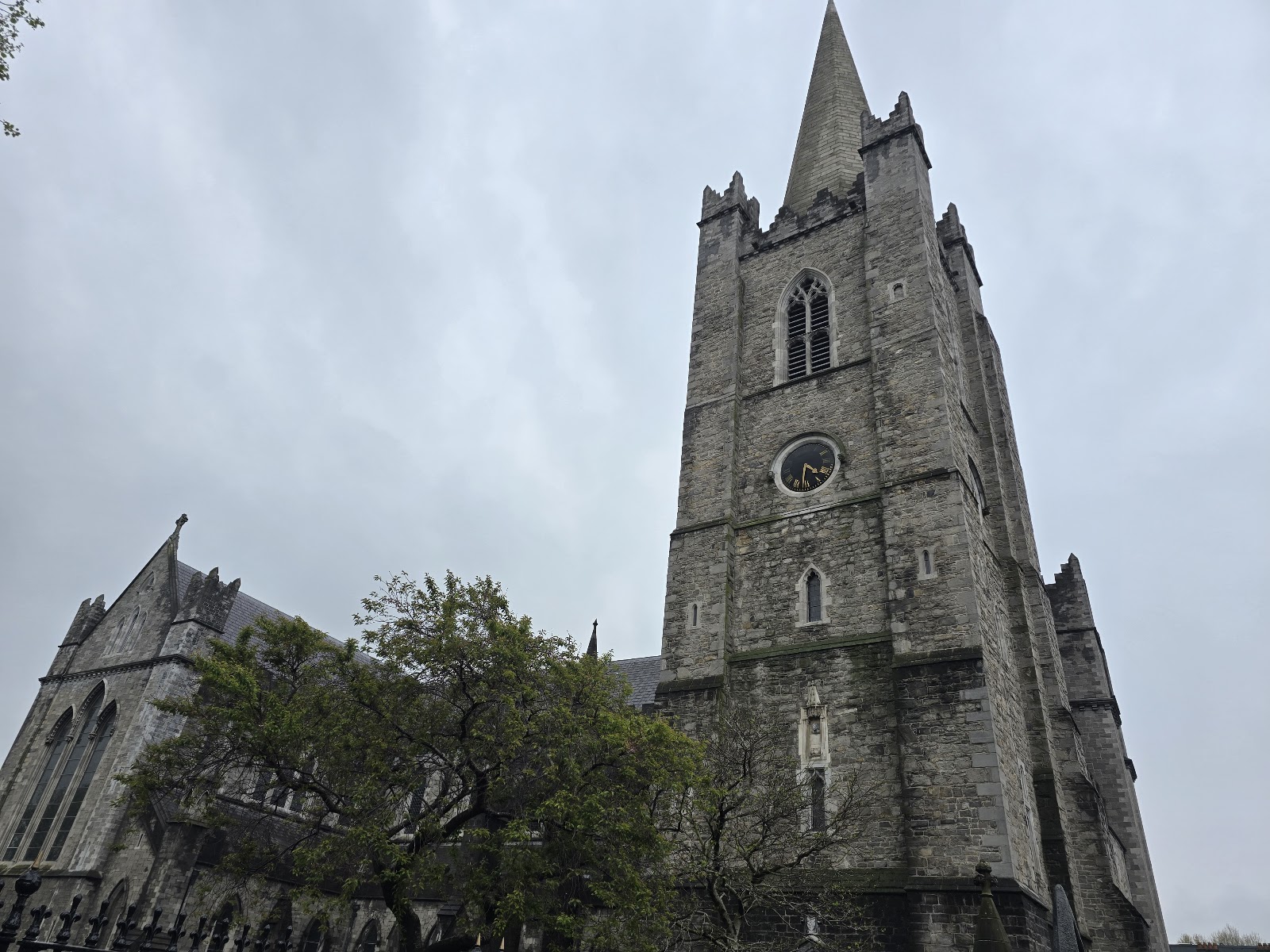 St Patrick's Cathedral photo 9