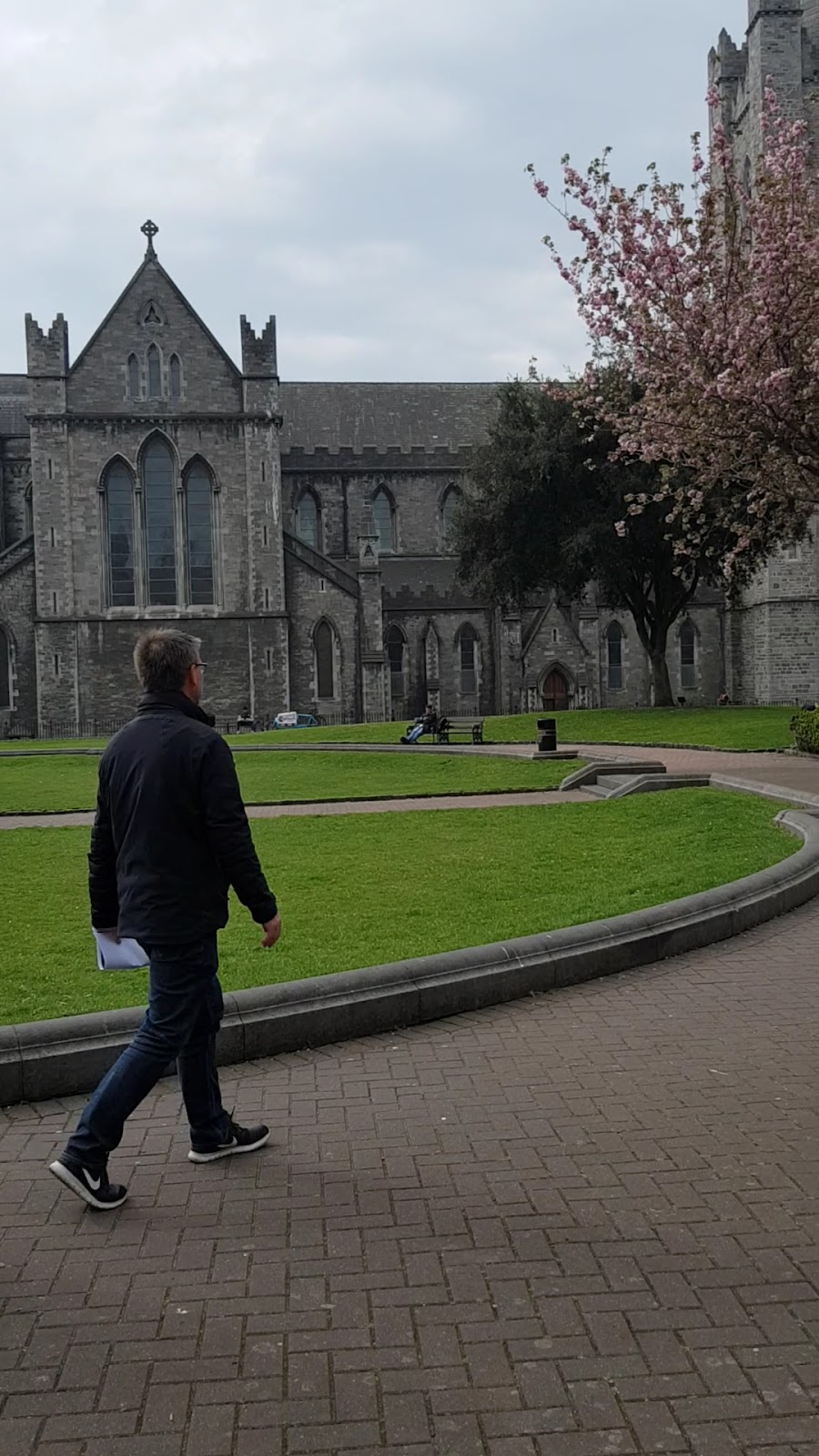 St Patrick's Cathedral photo 4
