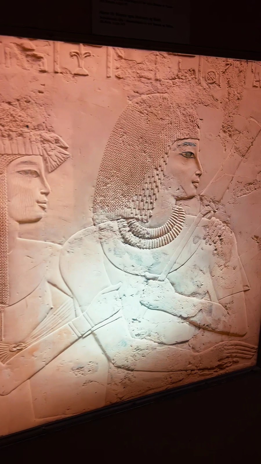 National Museum of Ireland, Kildare Street photo 2