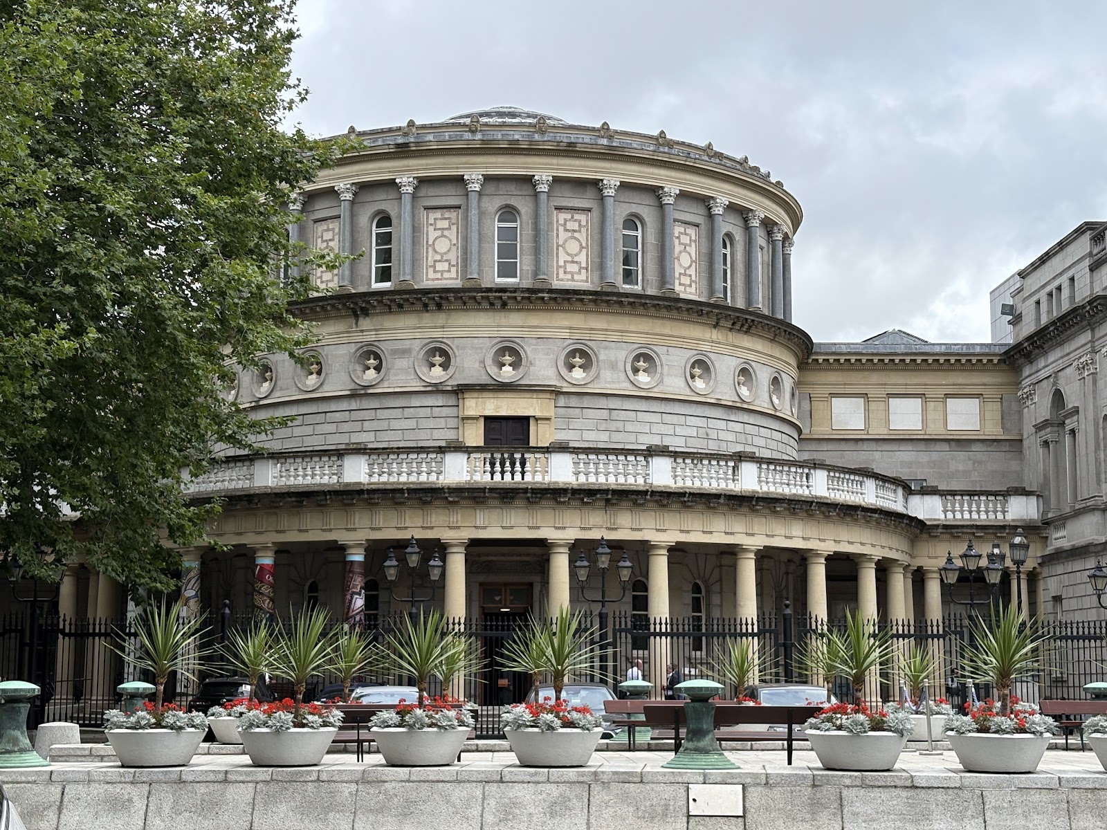 National Museum of Ireland, Kildare Street photo 1