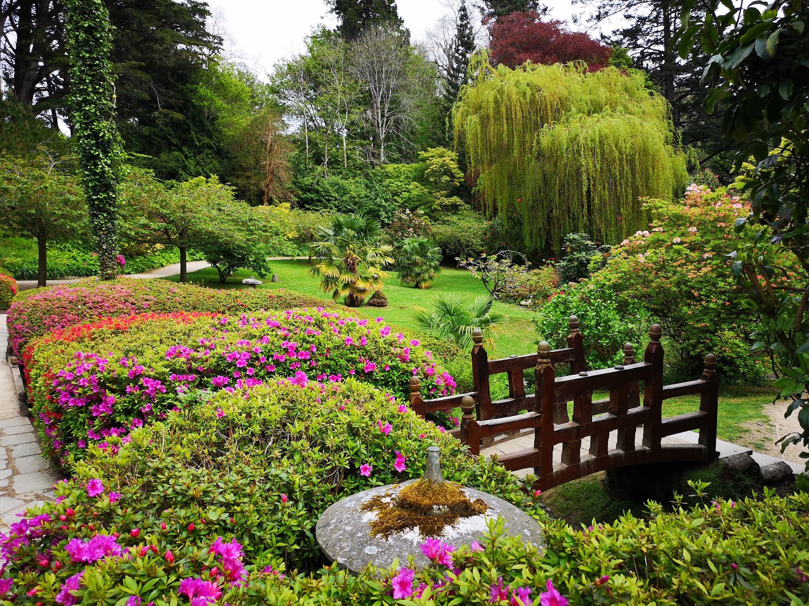 Powerscourt House & Gardens photo 8