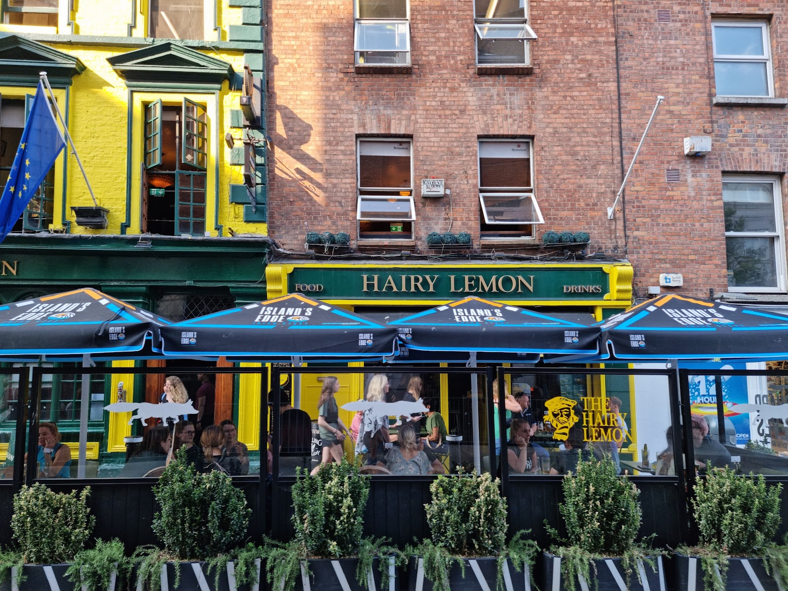 The Hairy Lemon photo 1