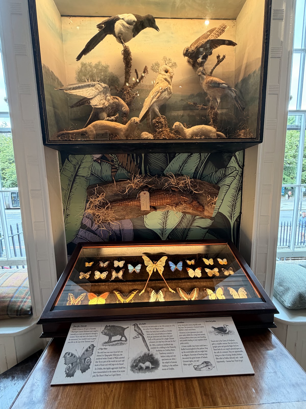 The Little Museum of Dublin photo 10