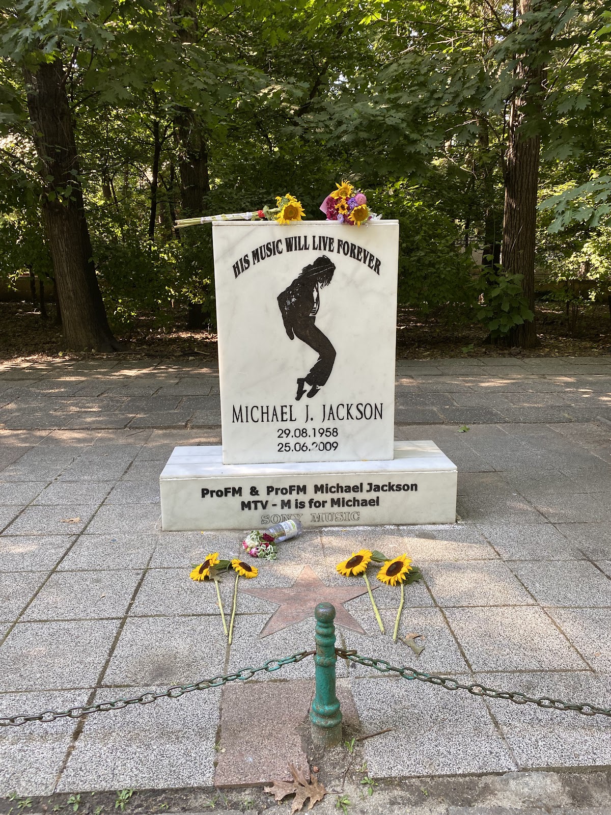 King Mihai I Park photo 10