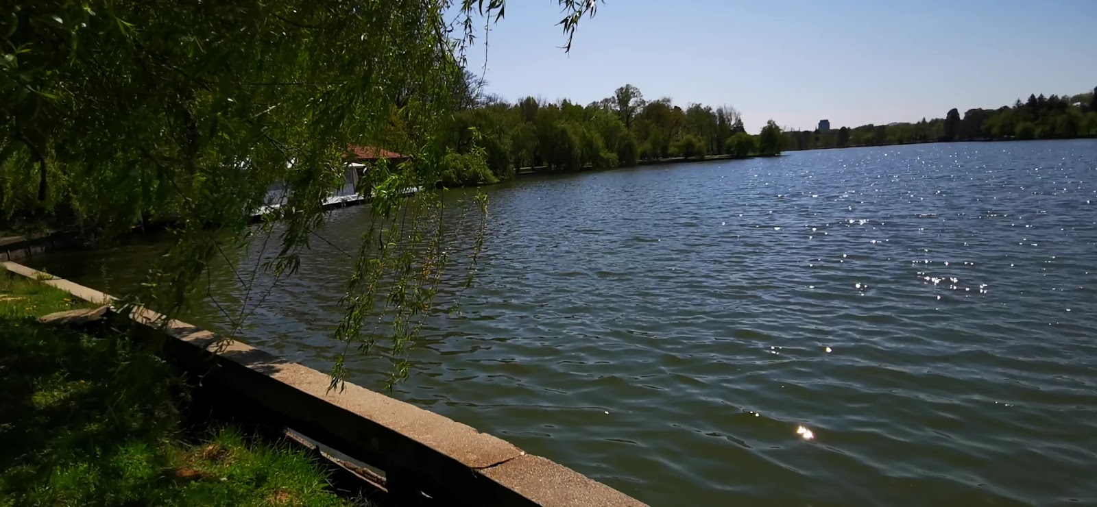 King Mihai I Park photo 5