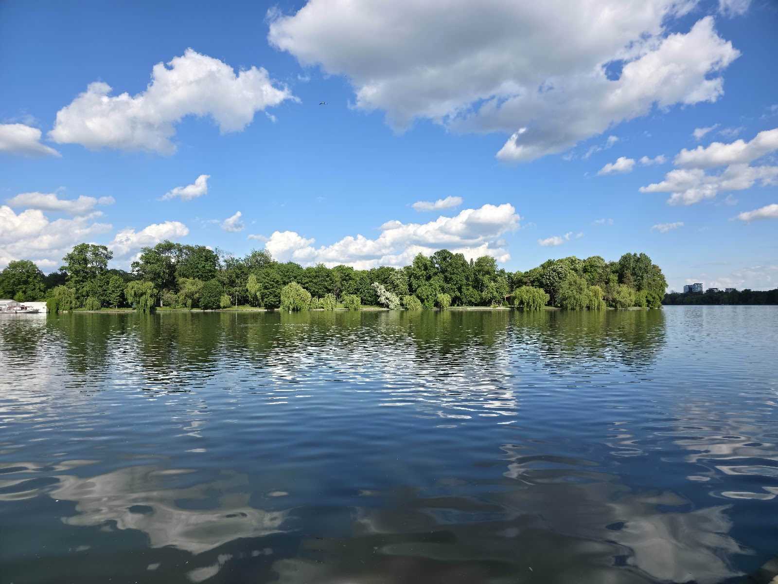King Mihai I Park photo 2
