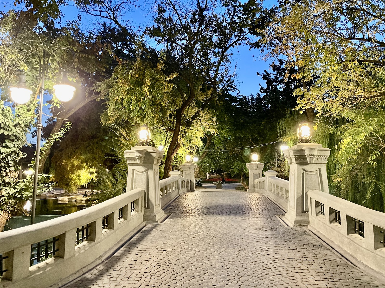 Cișmigiu Garden photo 8