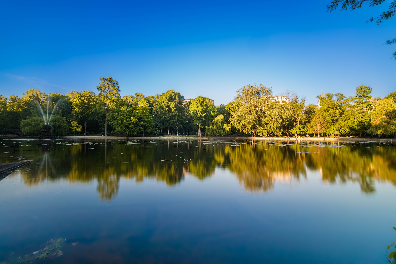 Cișmigiu Garden photo 7