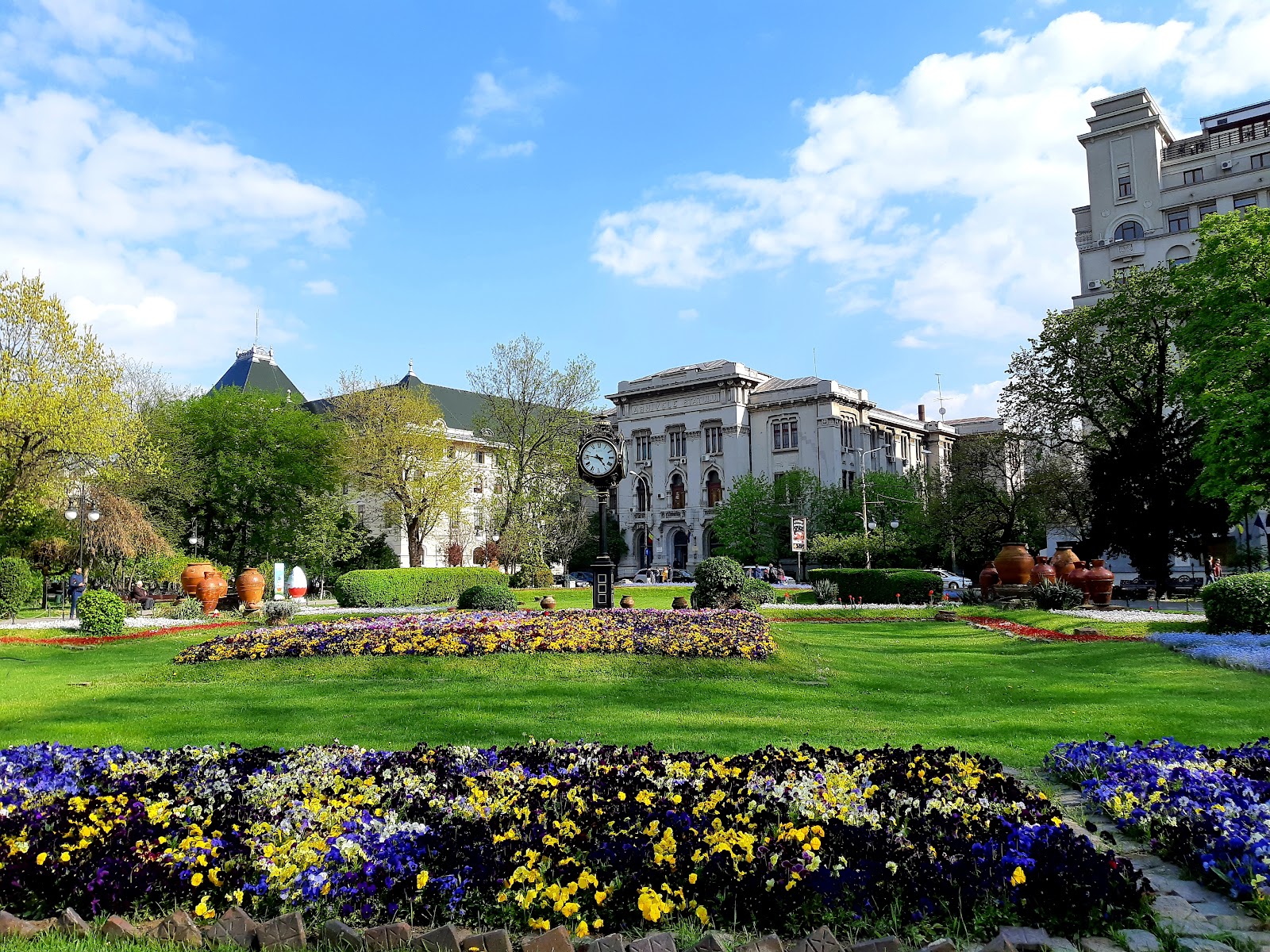Cișmigiu Garden photo 10