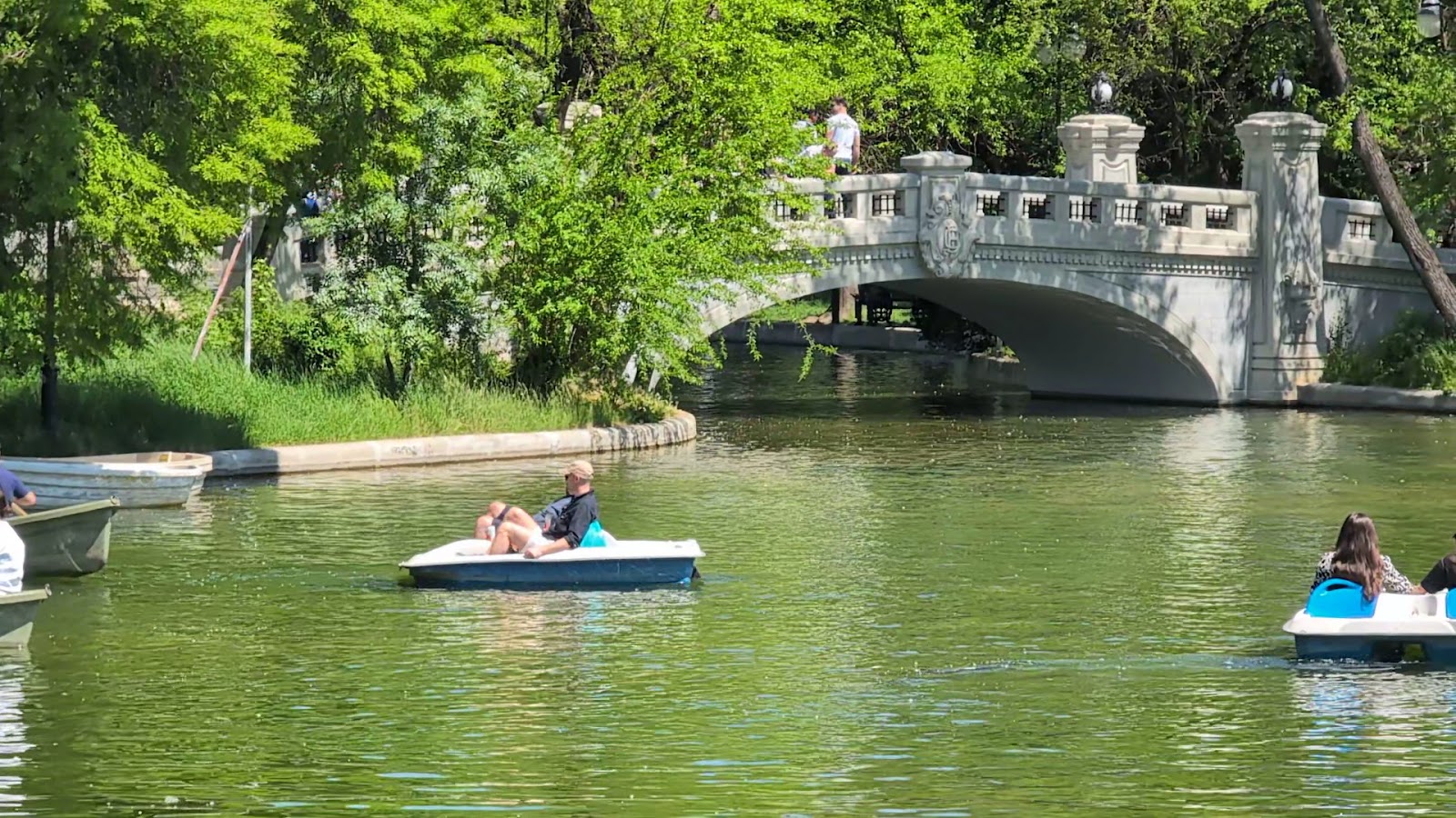 Cișmigiu Garden photo 5