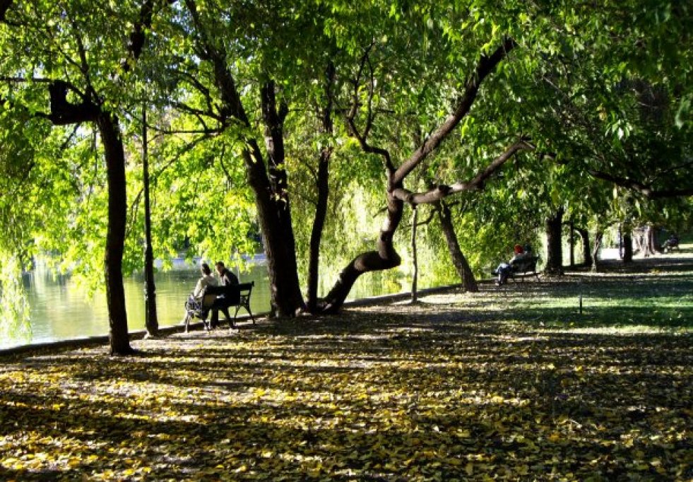 Cișmigiu Garden photo 2