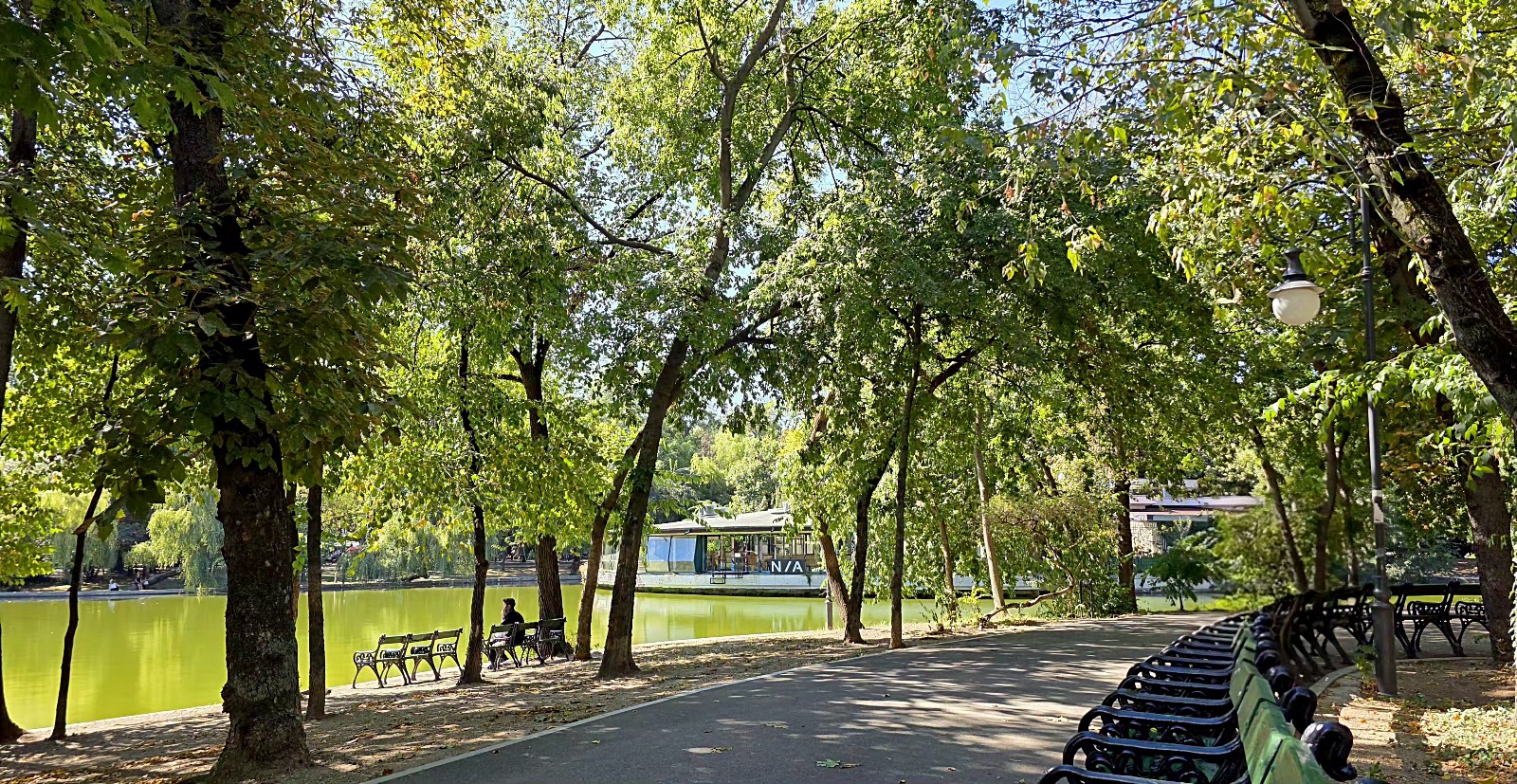Cișmigiu Garden photo 4