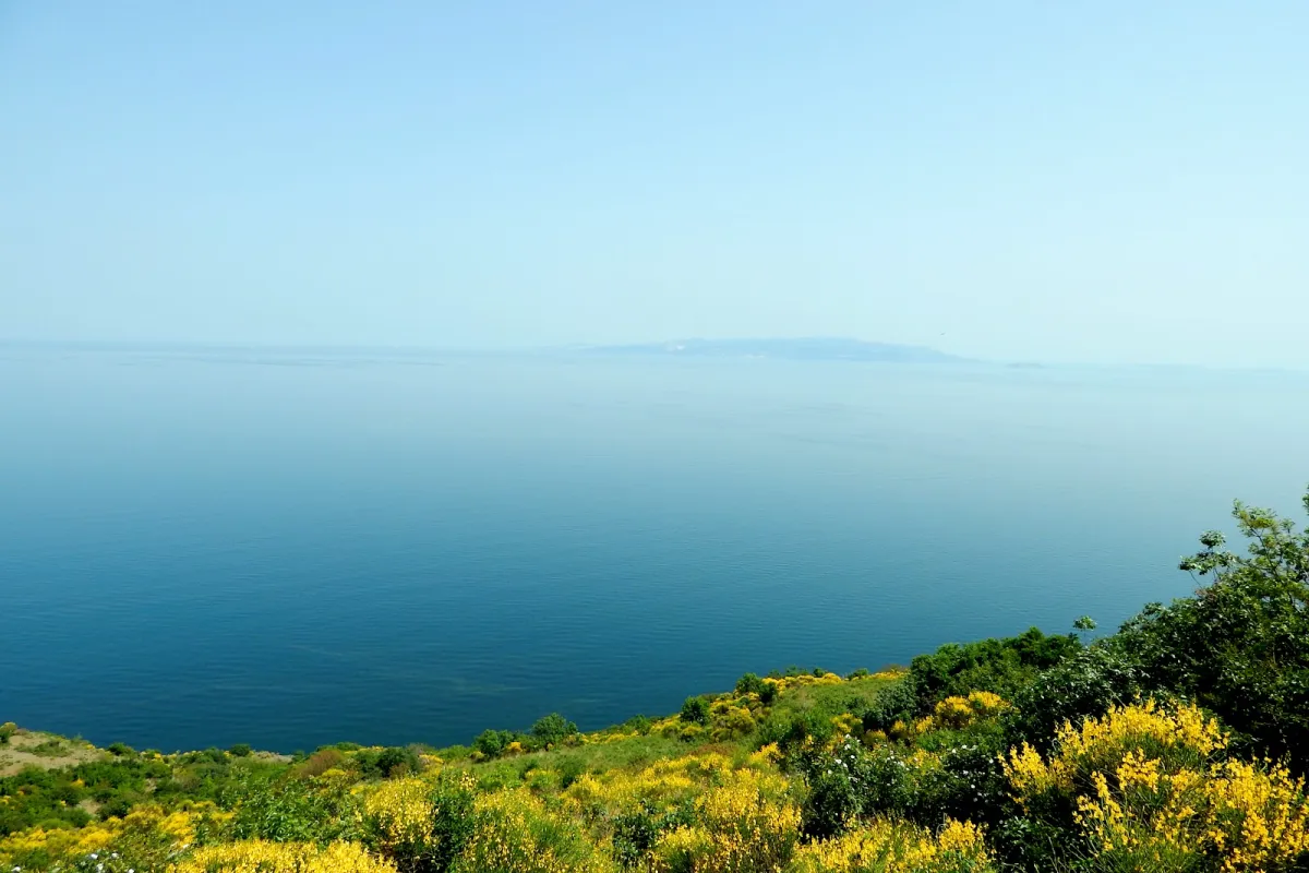 Kartaltepe Nature Park photo 1