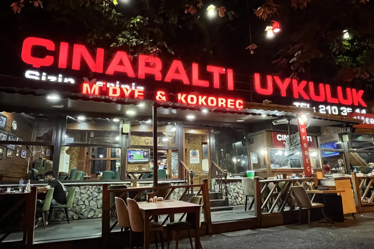 Çınaraltı uykuluk photo 1