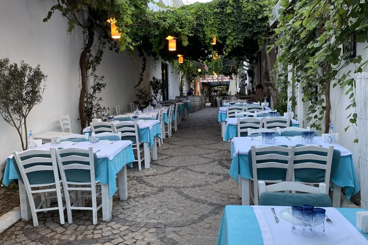 Hasan Tefik Restoran ve Zeytinyağı photo 1
