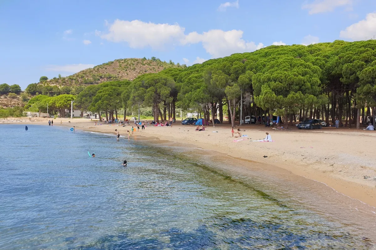 Fıstıklı Köyü Piknik Alanı photo 1