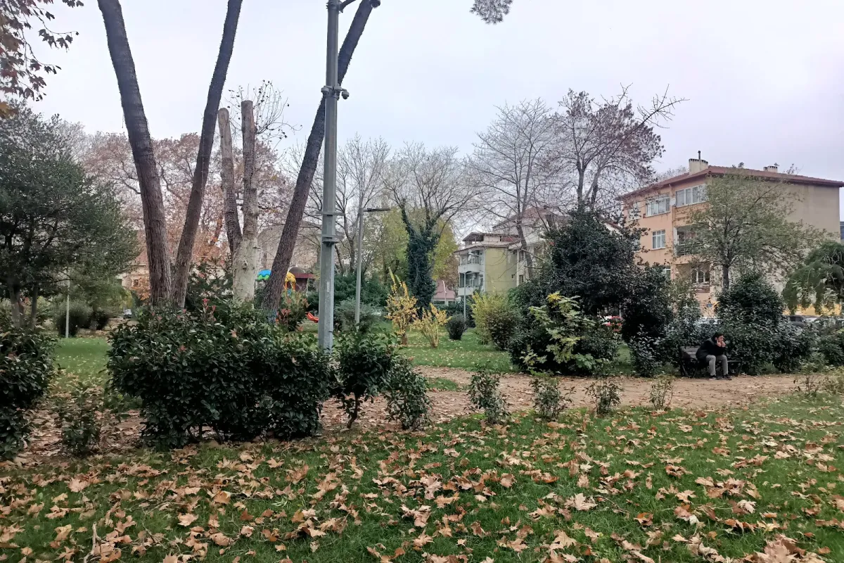 Zübeyde Hanım Parkı photo 1