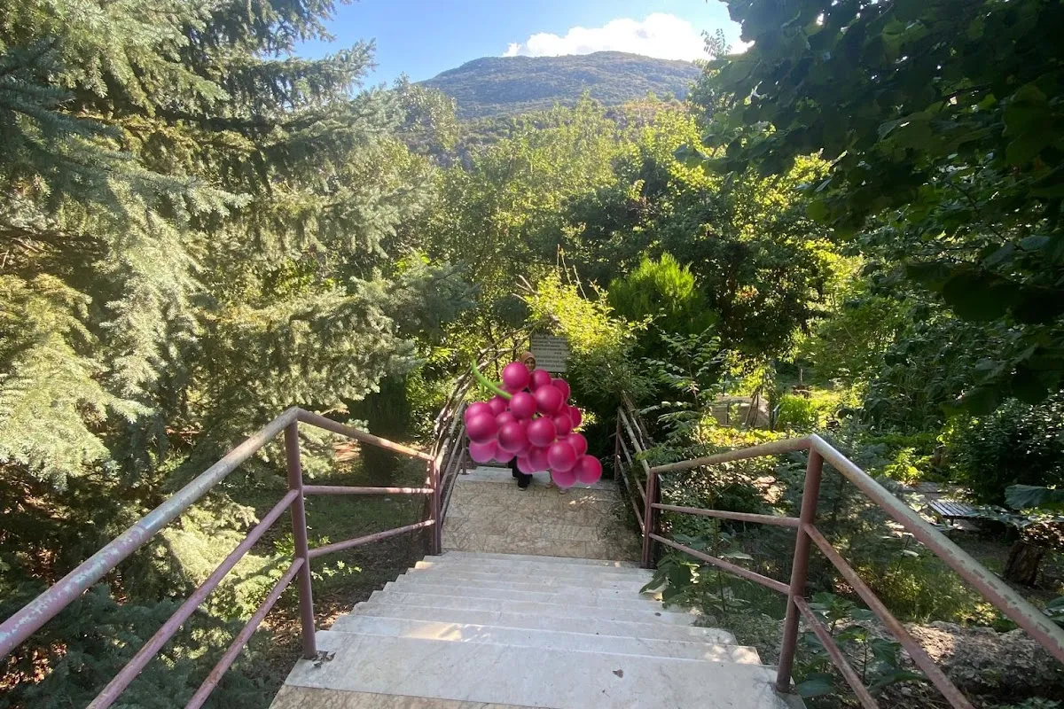 Heaven's Garden photo 1
