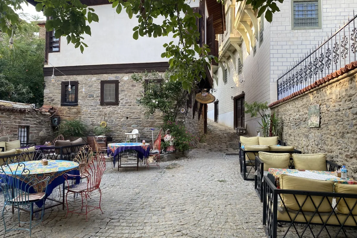 BİRGİ NARDANESİ photo 1