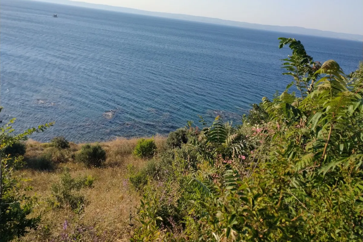 Ortaköy Sahili photo 1