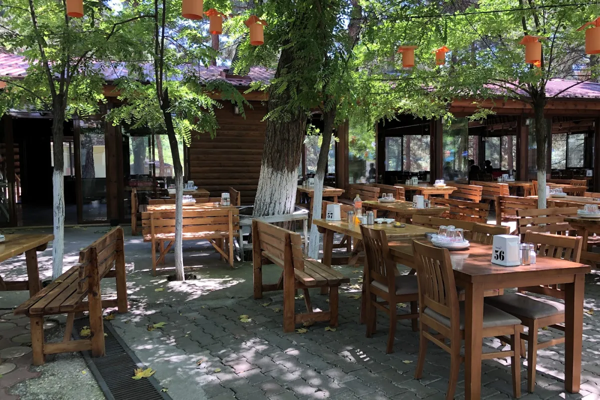 Çamlik Et Mangal ve Piknik Alanı photo 1