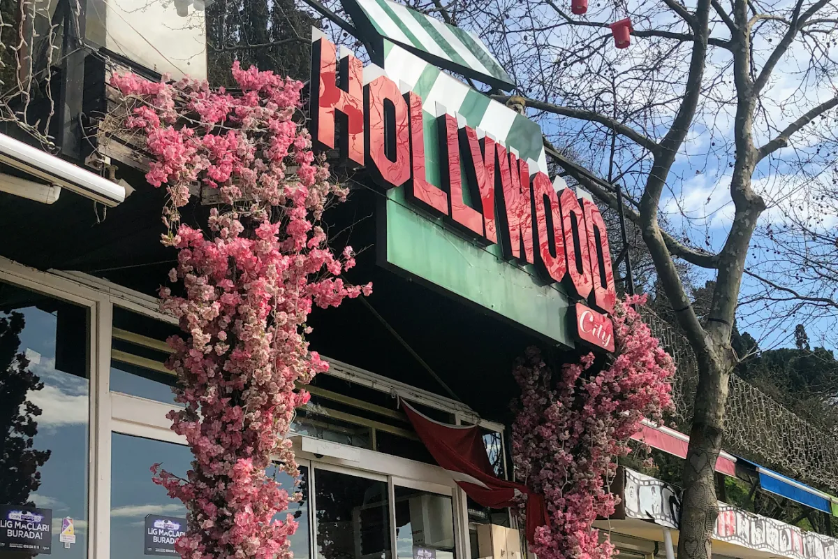 Hollywood City photo 1