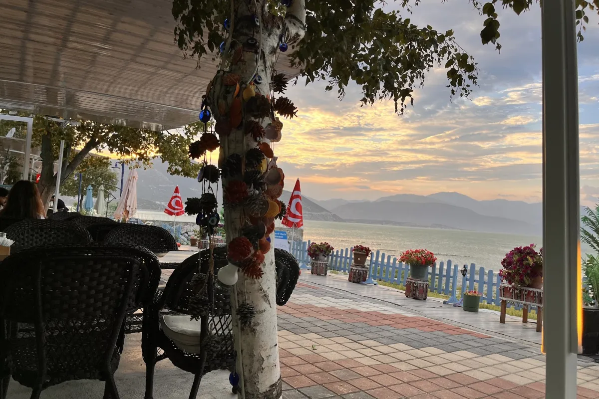 Tomurcuk Restaurant Cafe photo 1