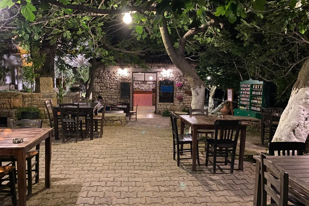 Mustafa'nın Kayfesi photo 1