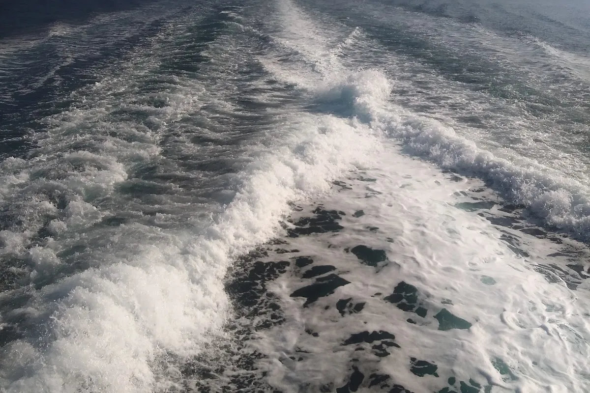 IDO Yalova Ferry Deck photo 1
