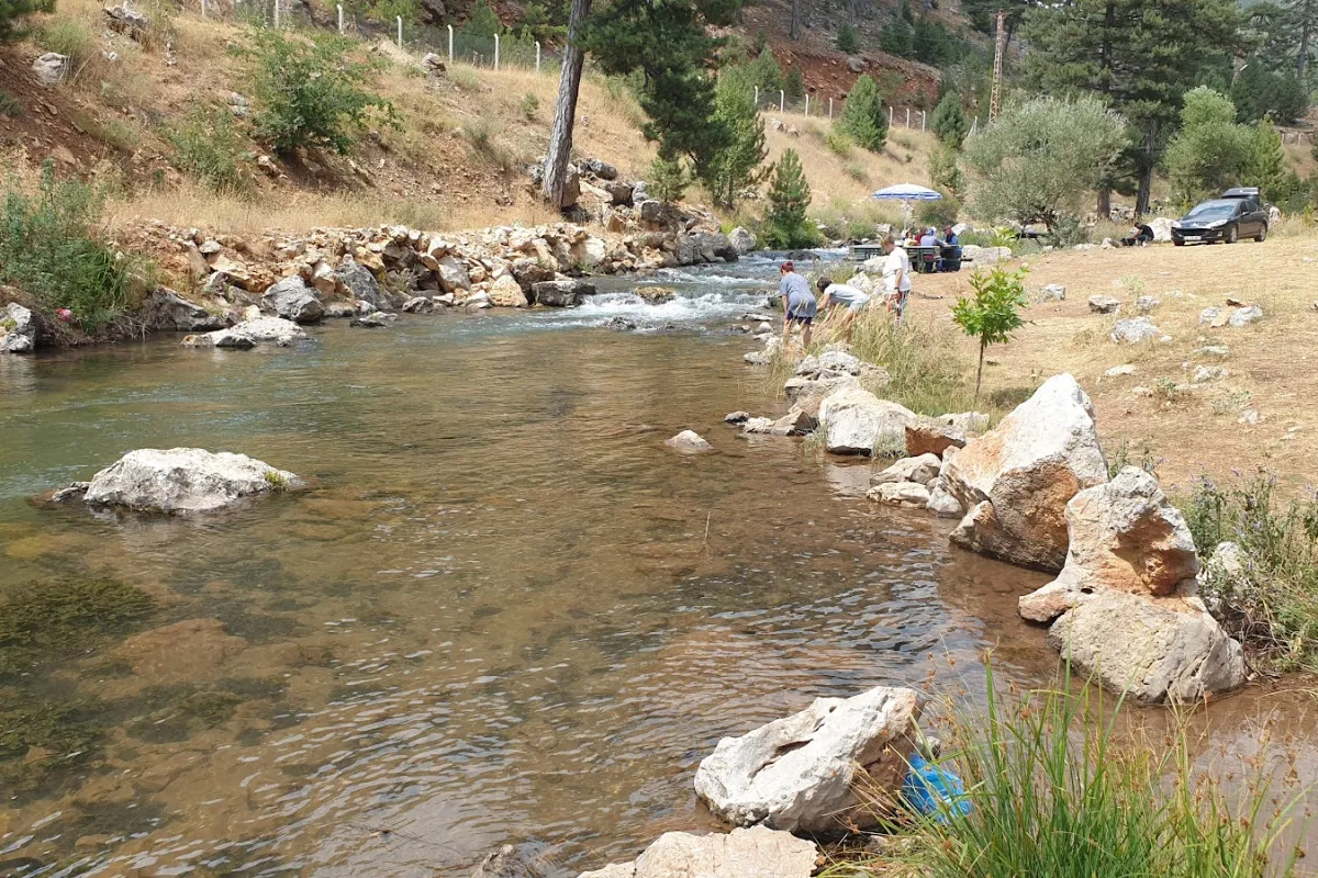 Başpınar Nature Park photo 1