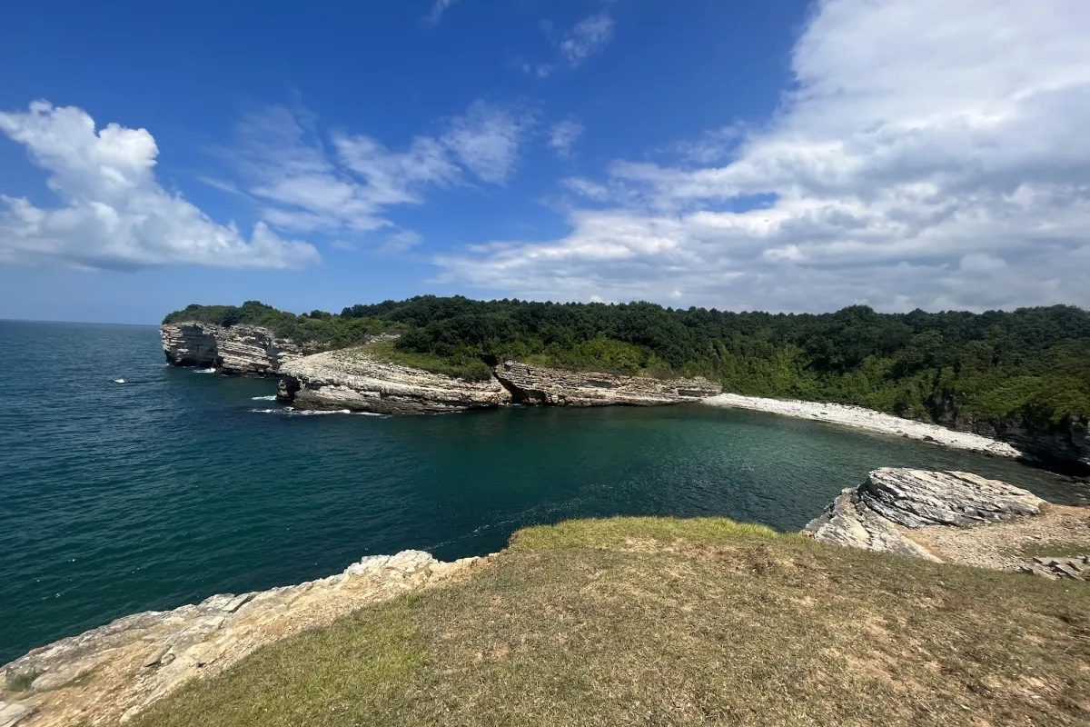 PALAMAR KOYU photo 1