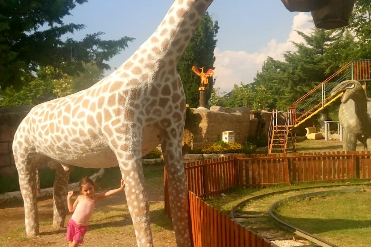 dream Park photo 1